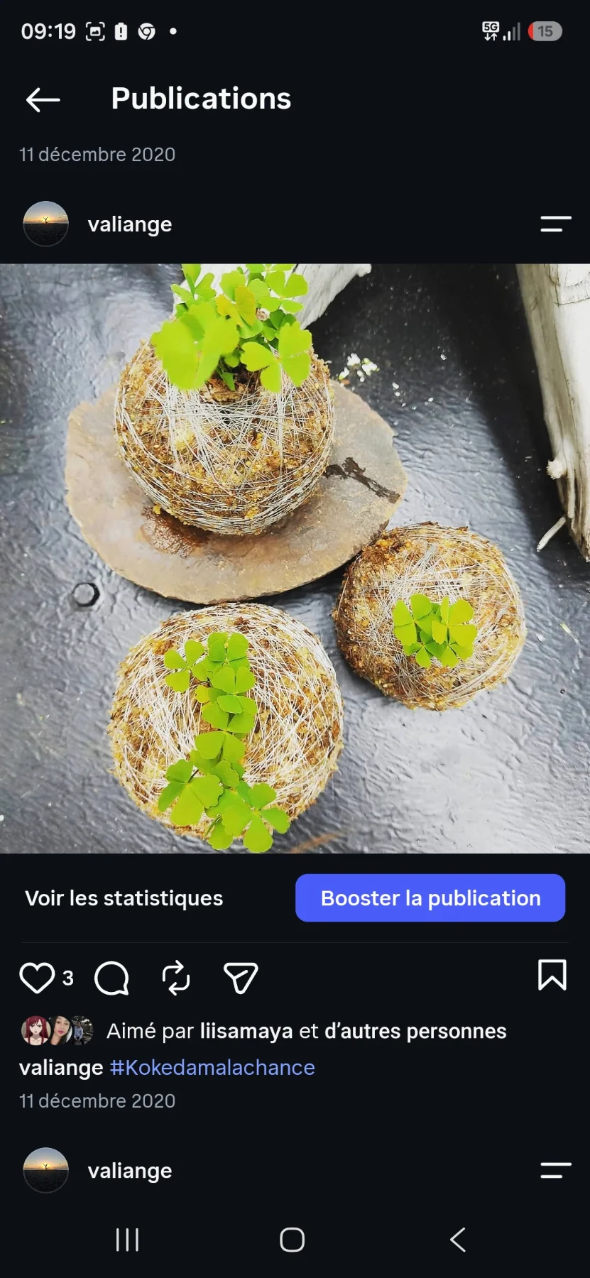 Les jolies kokedama