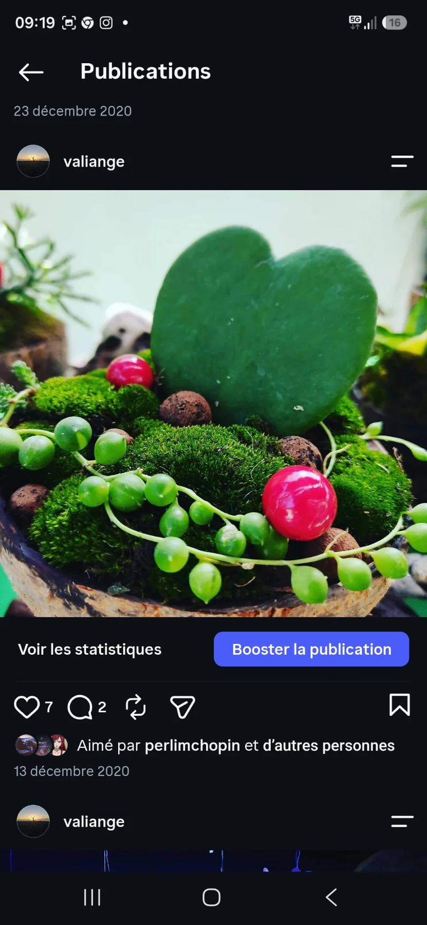 Un brin de verdure